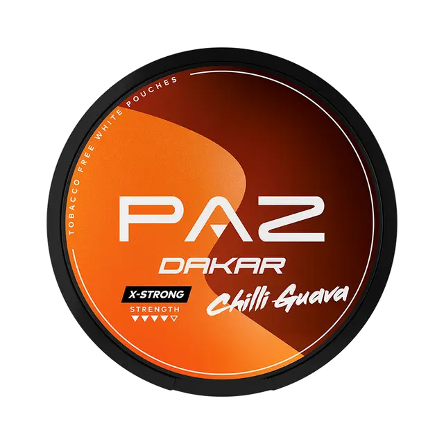 PAZ Racing Dakar