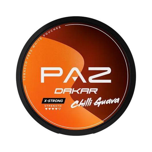 PAZ Racing Dakar